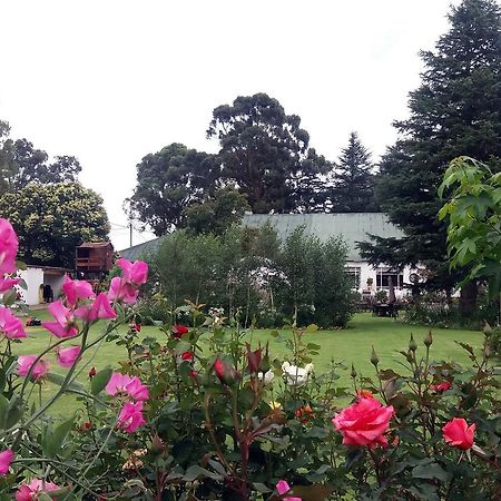 Green Lantern Inn Van Reenen ภายนอก รูปภาพ