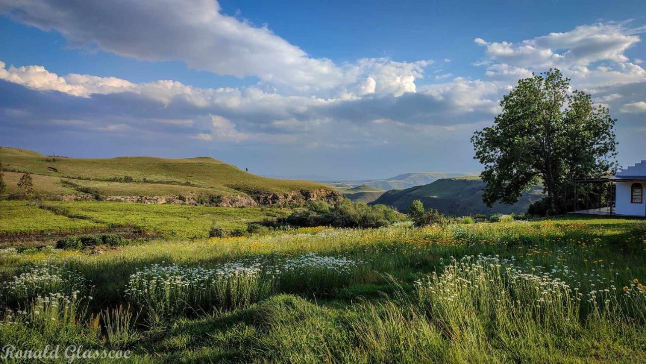 Green Lantern Inn Van Reenen ภายนอก รูปภาพ