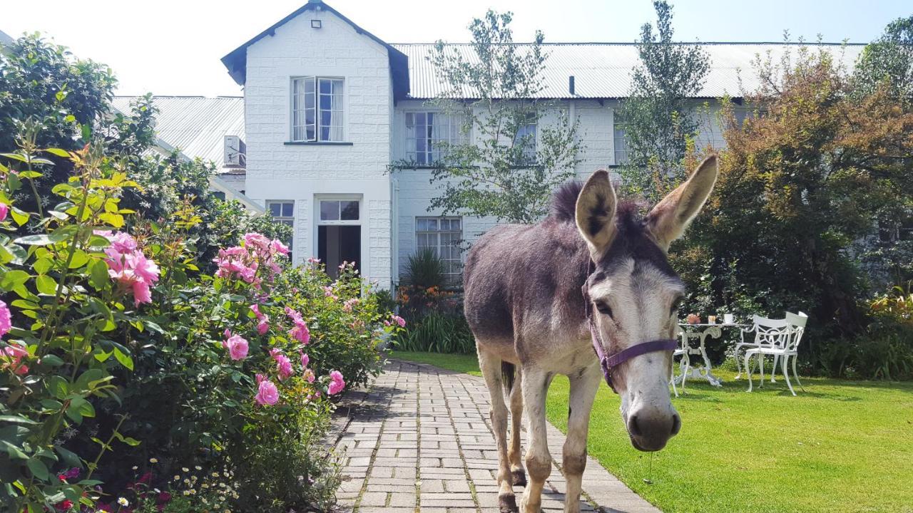 Green Lantern Inn Van Reenen ภายนอก รูปภาพ