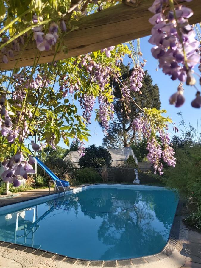 Green Lantern Inn Van Reenen ภายนอก รูปภาพ