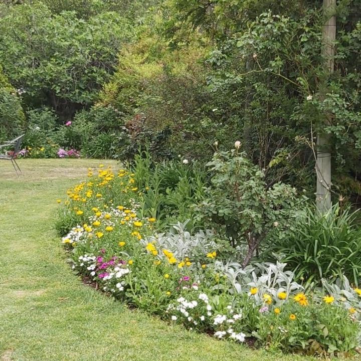 Green Lantern Inn Van Reenen ภายนอก รูปภาพ