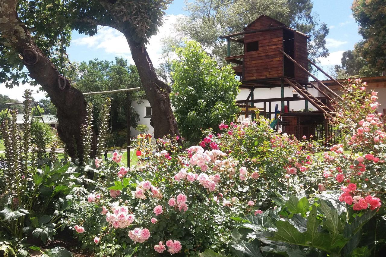Green Lantern Inn Van Reenen ภายนอก รูปภาพ