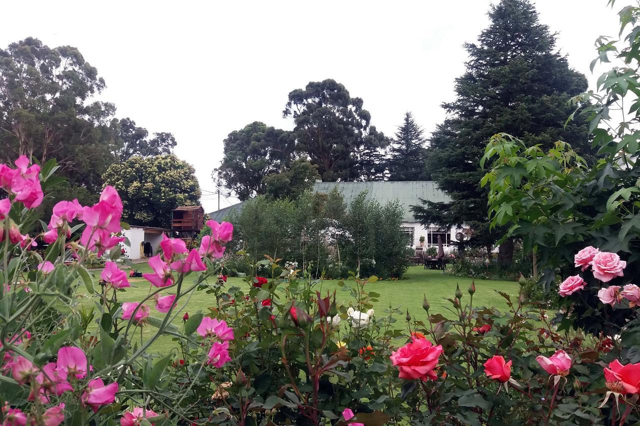 Green Lantern Inn Van Reenen ภายนอก รูปภาพ